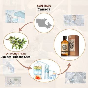 Juniper Berry Essential Oil AKARZ Natural And Pure ( 30ML 100ML )